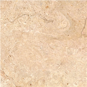 Ara Perlato Marble Tile