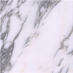 Arabescato Mossa Tile