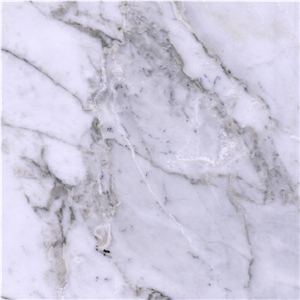Arabescato Vagli Marble