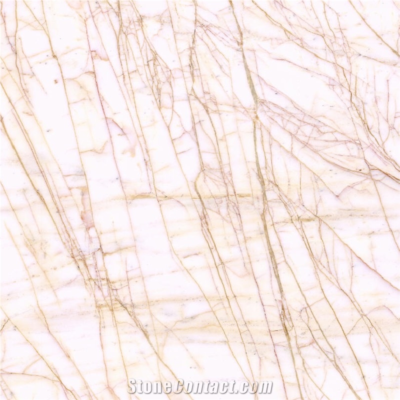 Arachnia Marble importance=
