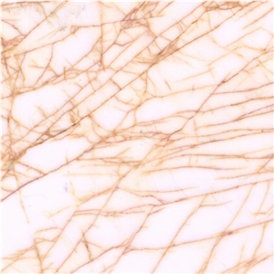 Arachnia Marble Tile