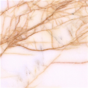 Arachnia Marble Tile