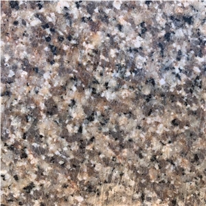 Arcka Yellow Granite