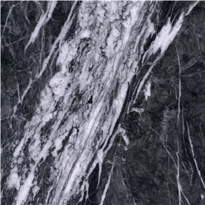 Argentato Carnico
