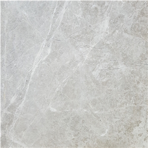 Aris Silver Marble