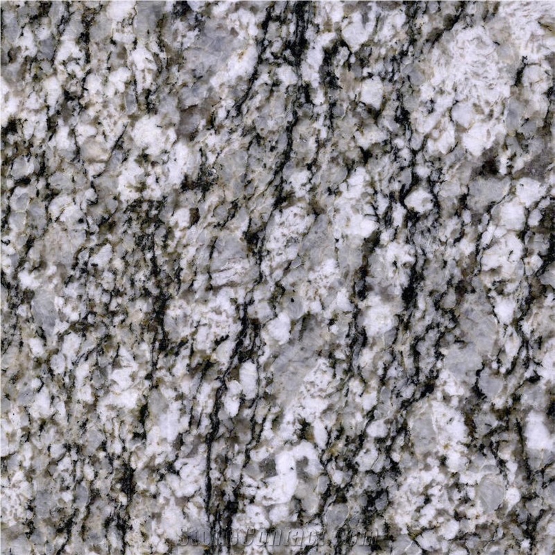 Armani White Tile