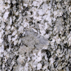 Armani White Tile