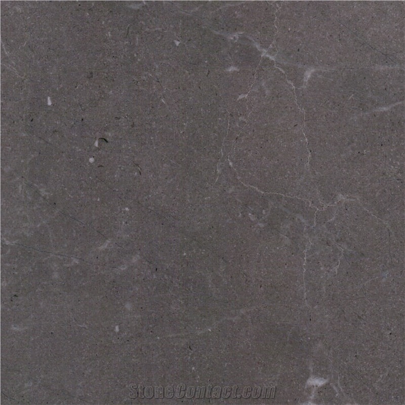 Assinis Silver Grey Marble importance=