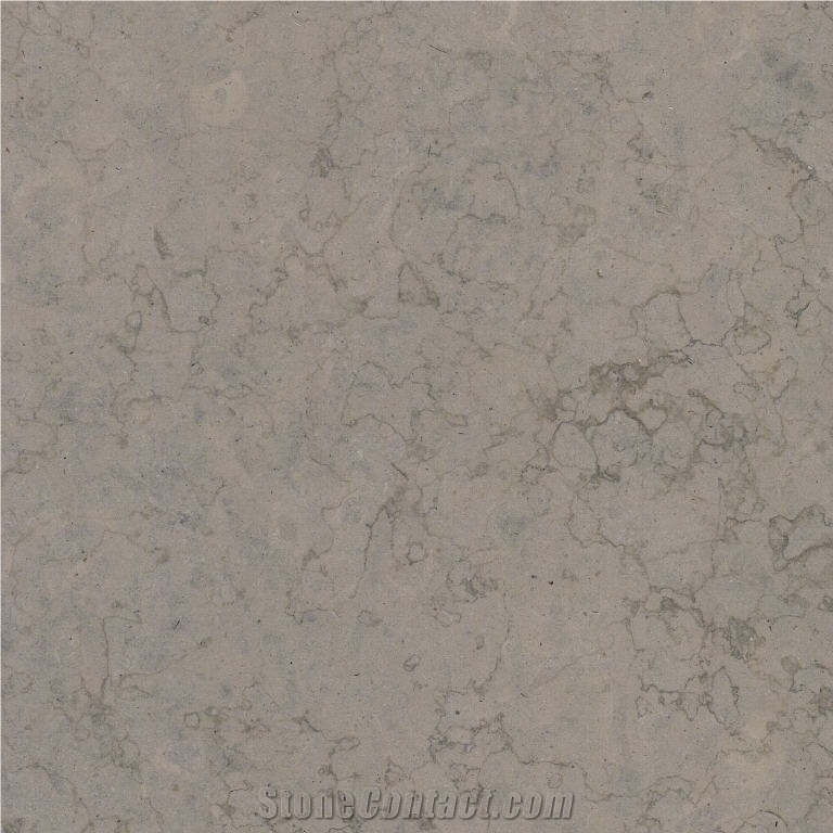 Ataija Blue Limestone Tile