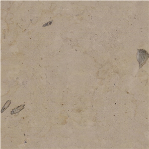 Ataija Cream Limestone Tile