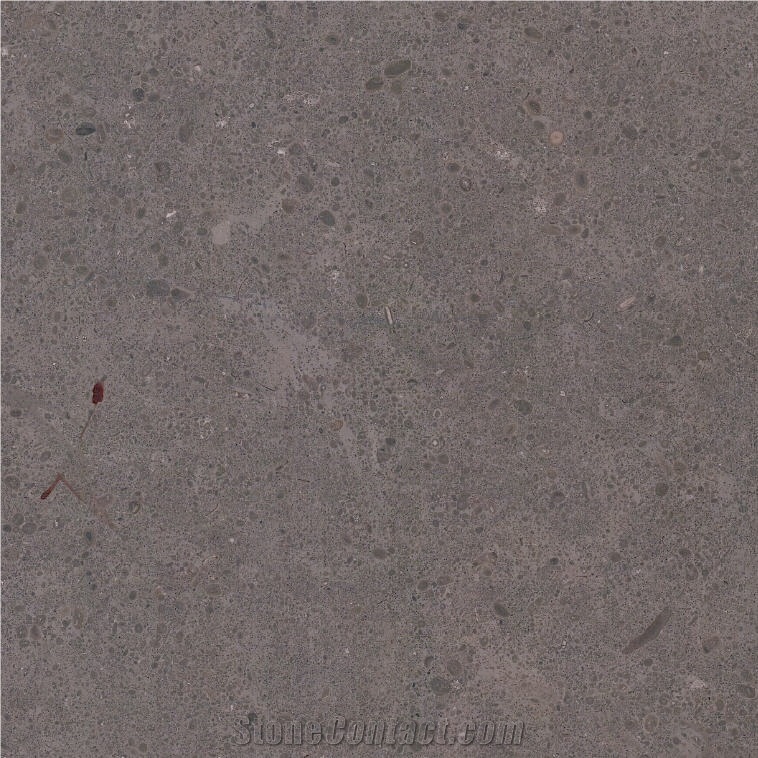 Atlantic Dark Limestone importance=