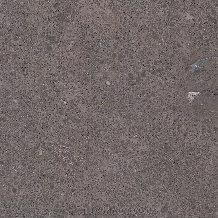 Atlantic Dark Limestone Tile