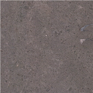 Atlantic Dark Limestone Tile