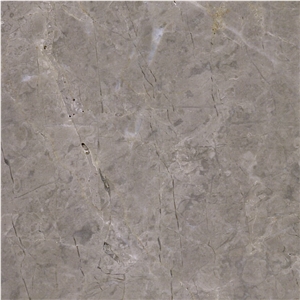 Atlas Grey Marble Tile
