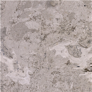 Aurisina Fiorita Lumachella Limestone