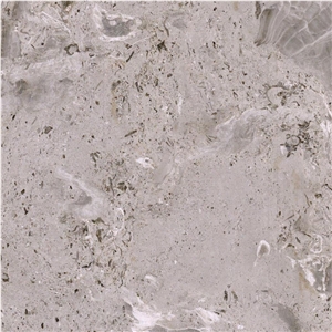 Aurisina Fiorita Limestone Tile