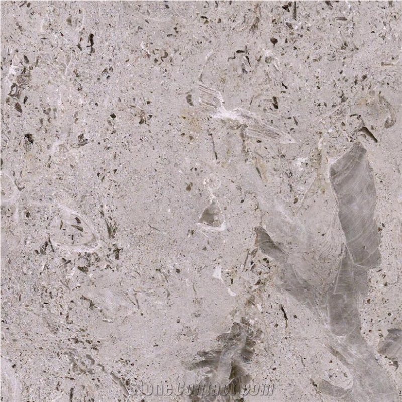 Aurisina Fiorita Limestone Tile