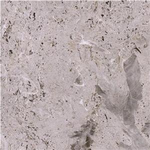 Aurisina Fiorita Limestone Tile