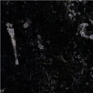Aurora Black Marble