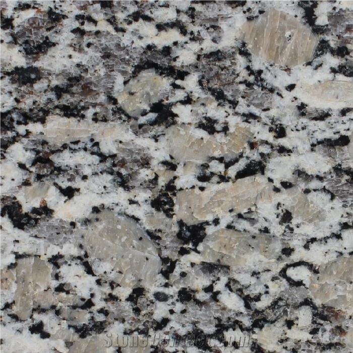 Autumn Ma Granite importance=