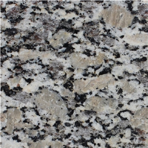 Autumn Ma Granite