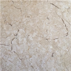 Ava Beige