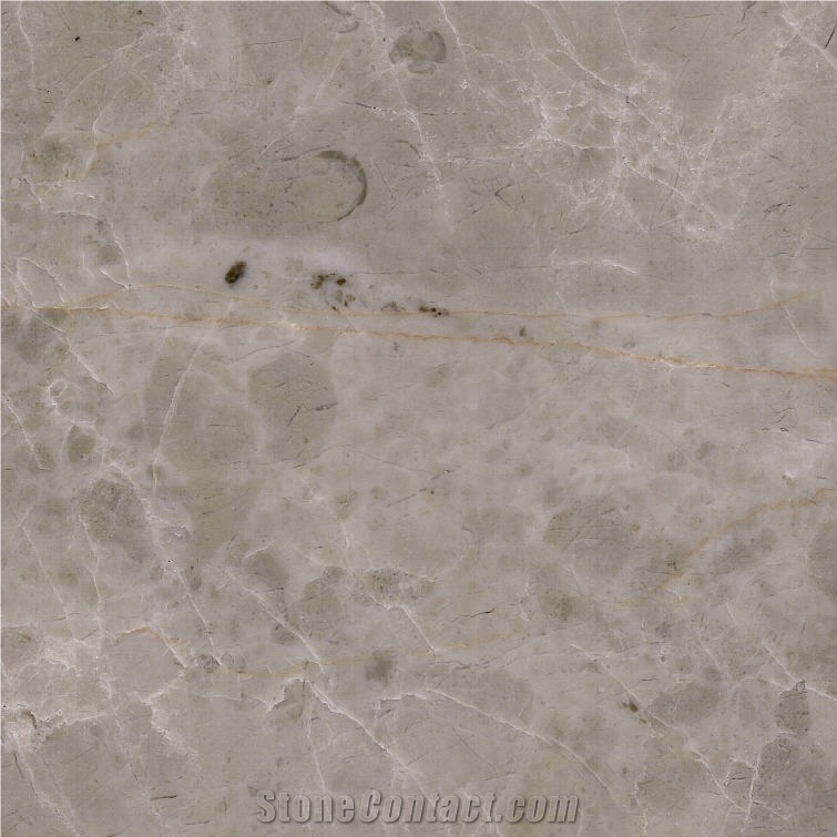 Avid Grey Marble importance=