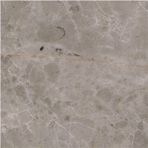 Avid Grey Marble