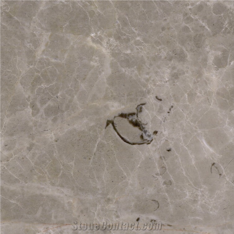 Avid Grey Marble Tile