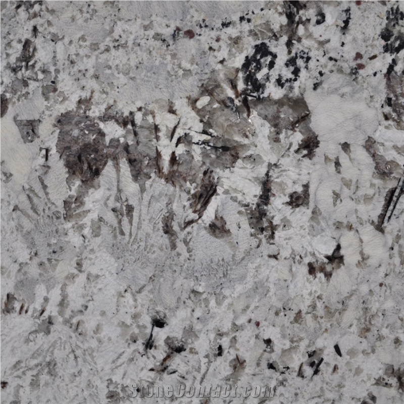 Bali White Granite importance=