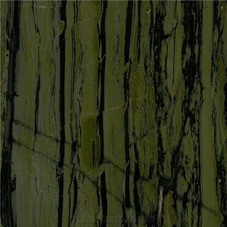 Bamboo Forest Green Quartzite importance=