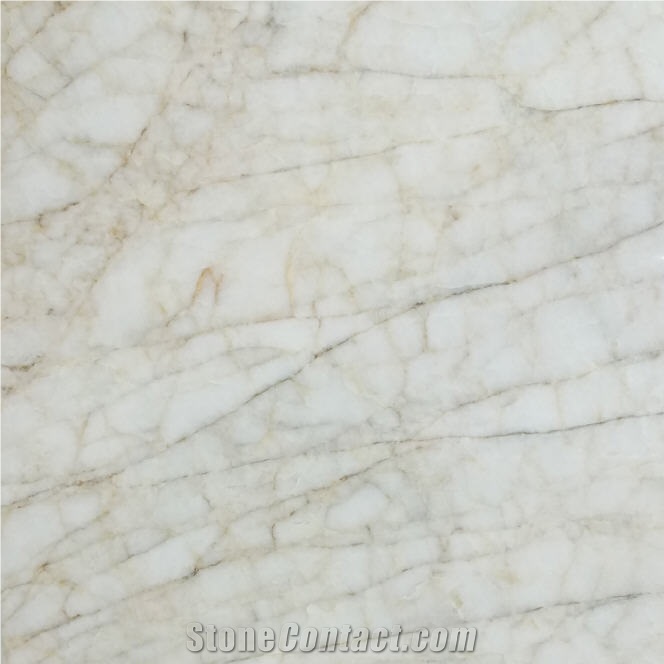 Barocco Marble Tile