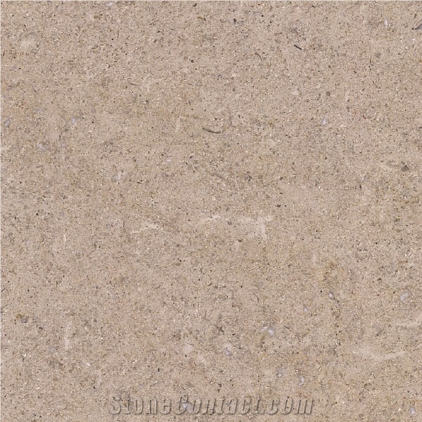 Bathala Limestone importance=