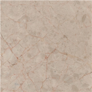 Beige Arsemir