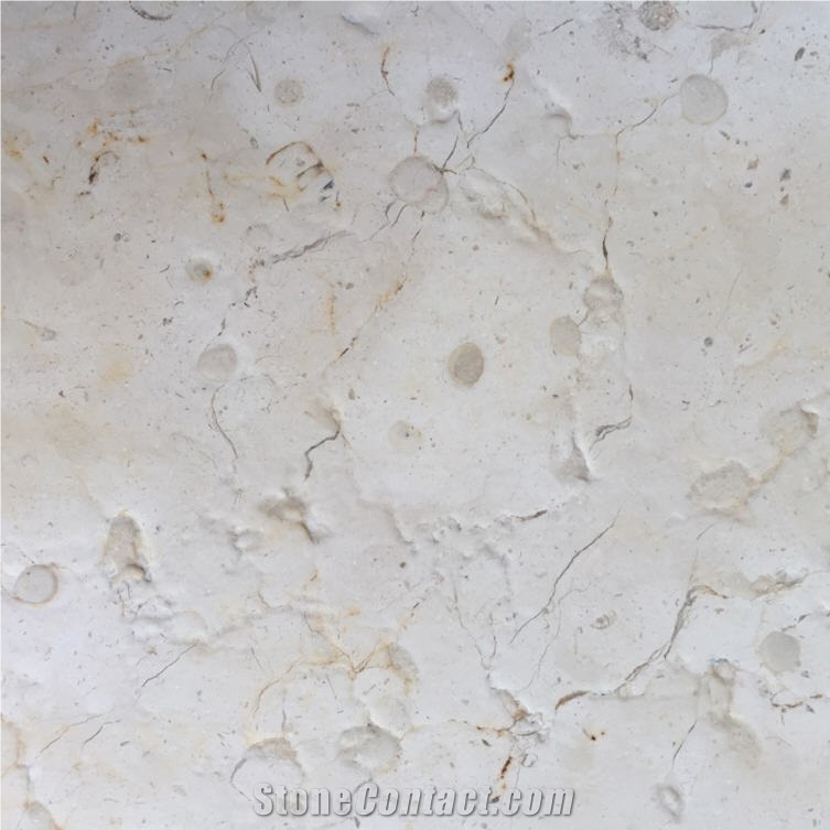 Beit Fajjar Limestone importance=