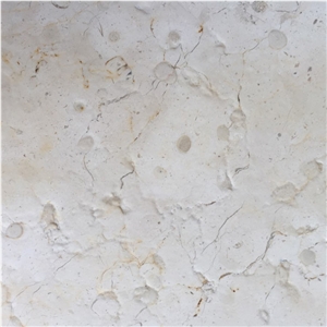 Beit Fajjar Limestone