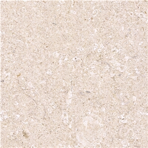 Bianco Avorio Limestone