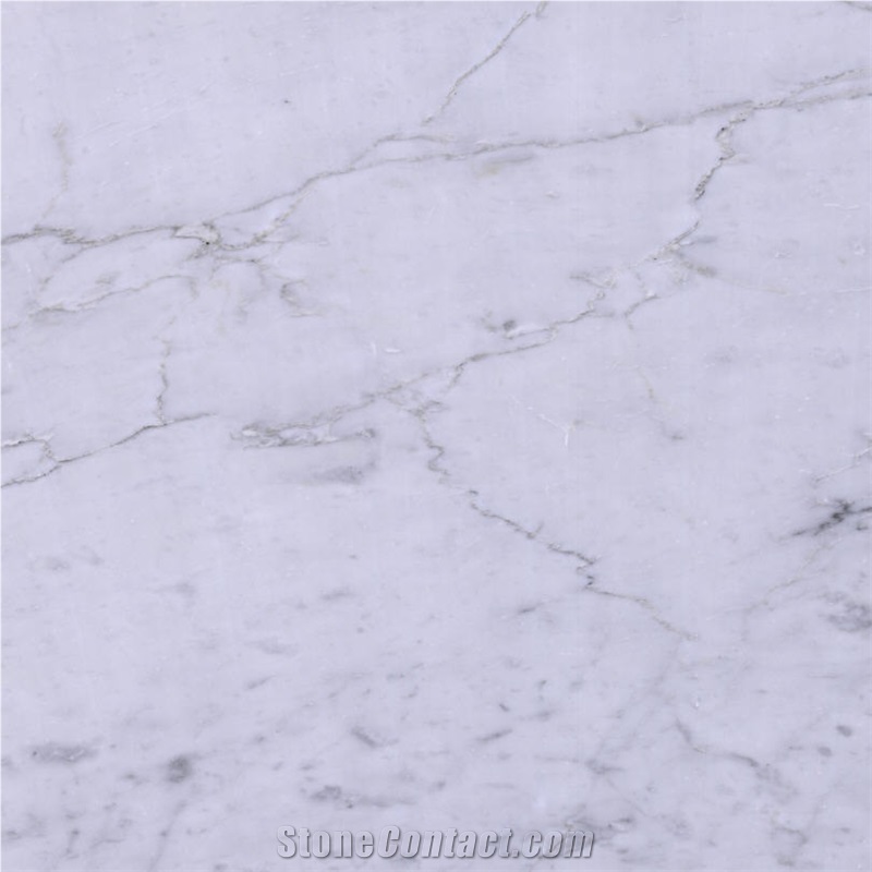 Bianco Calacatta Marble importance=