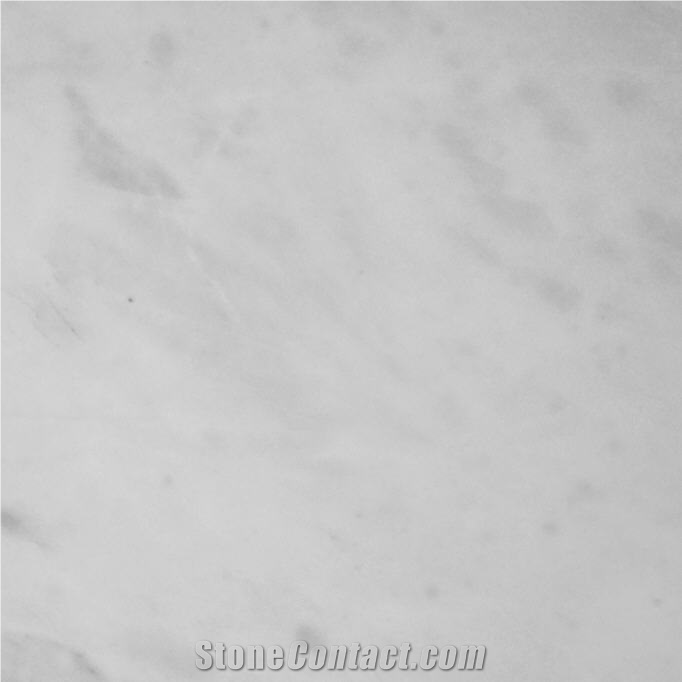 Bianco da Vinci importance=