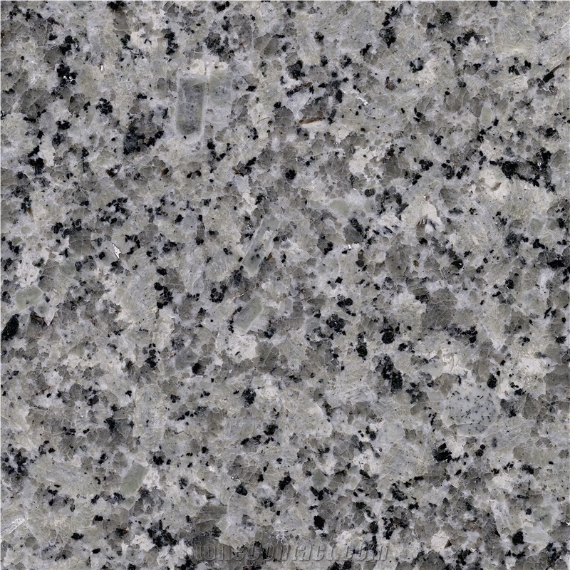 Bianco Gris Granite importance=