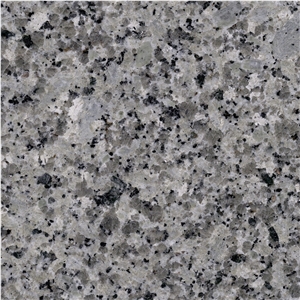Bianco Gris Granite Tile