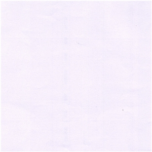 Bianco Pearl Limestone