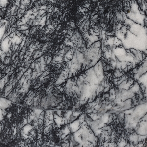 Bianco Pineta Marble