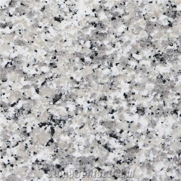 Bianco Sardo Granite Tile