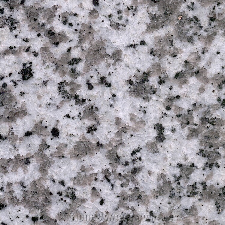 Big White Flower Granite importance=