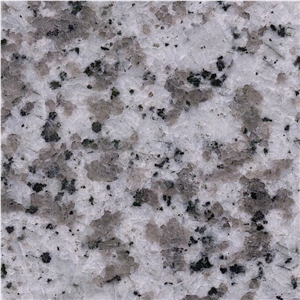 Big White Flower Granite Tile