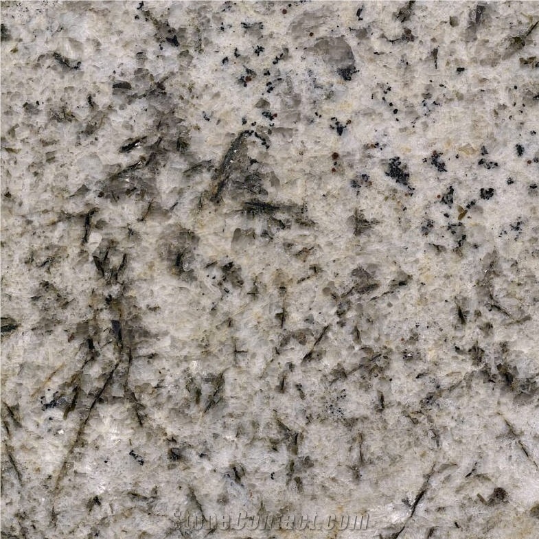Biscotti White Granite importance=