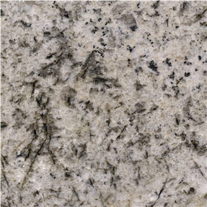 Biscotti White Granite
