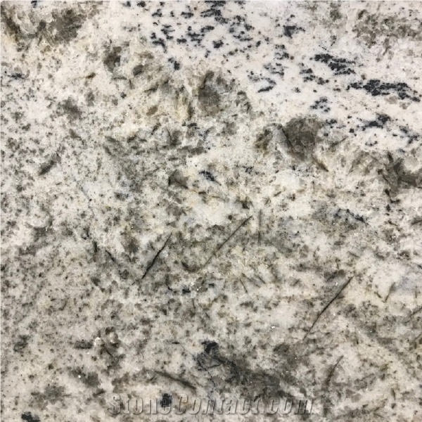Biscotti White Granite Tile