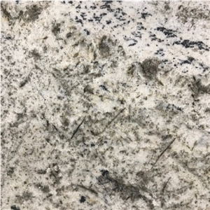 Biscotti White Granite Tile